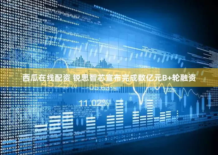 西瓜在线配资 锐思智芯宣布完成数亿元B+轮融资